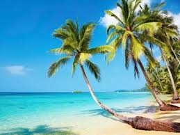 タイ語@京都 30時間でひとり旅!のメイン画像